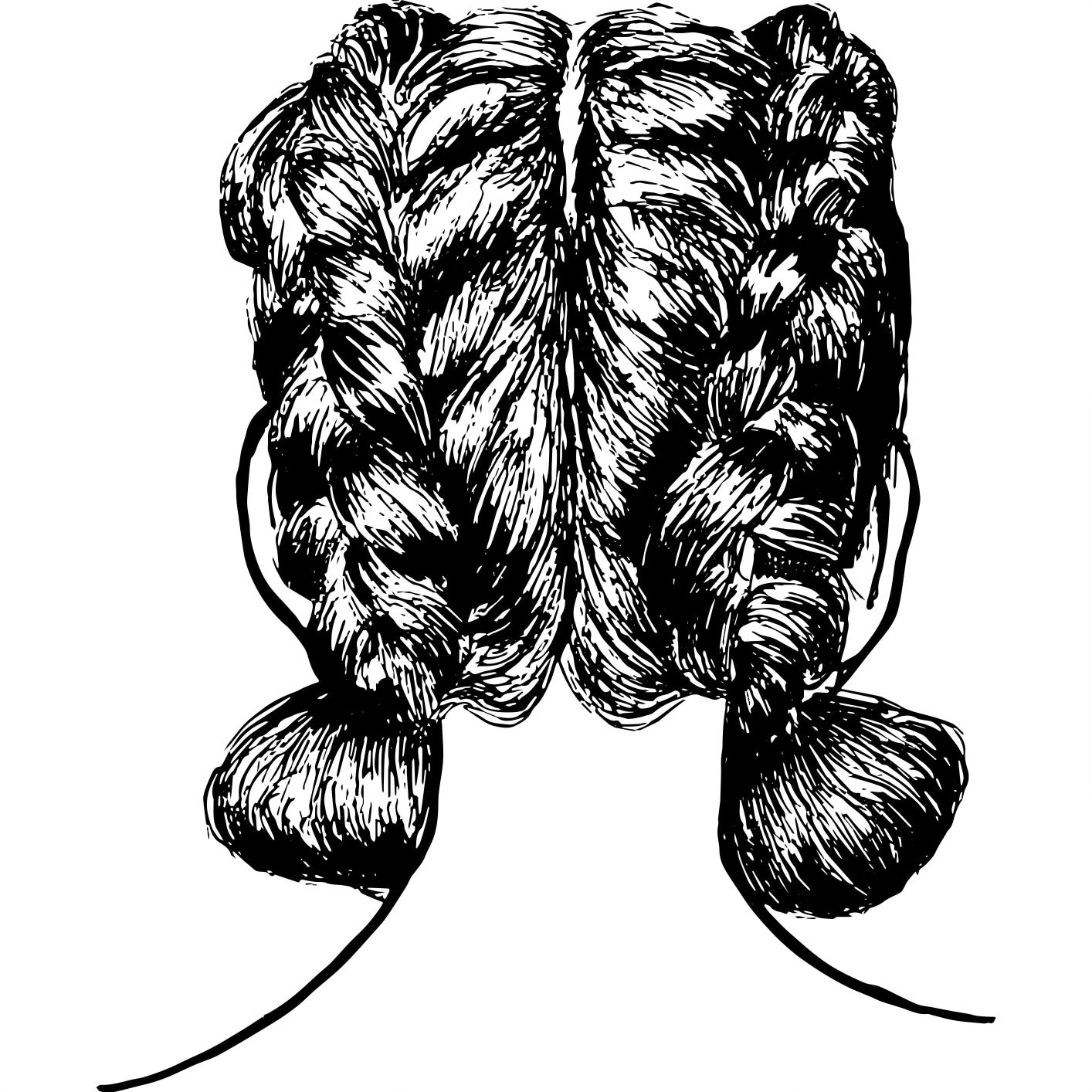braids